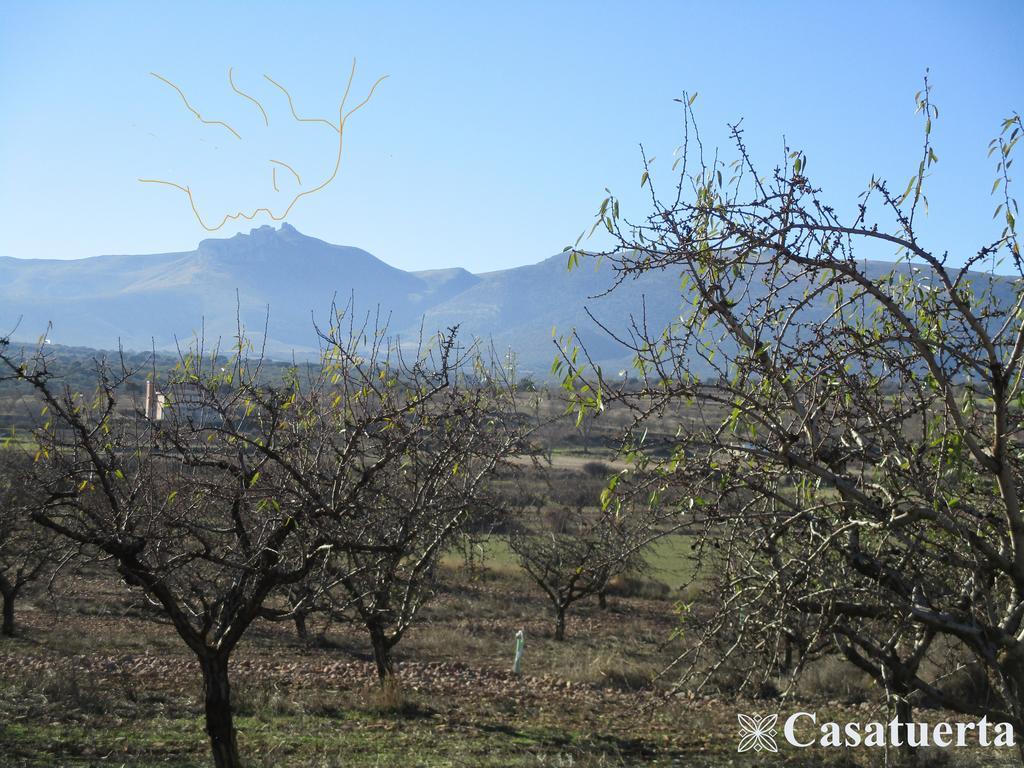 Casa Tuerta Villa Alcalá de Moncayo Eksteriør bilde