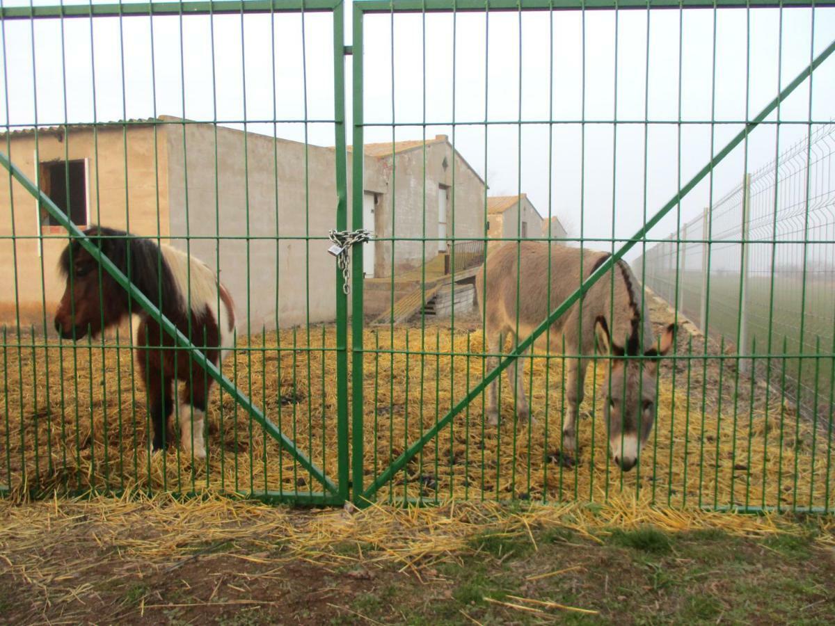 Casa Tuerta Villa Alcalá de Moncayo Eksteriør bilde