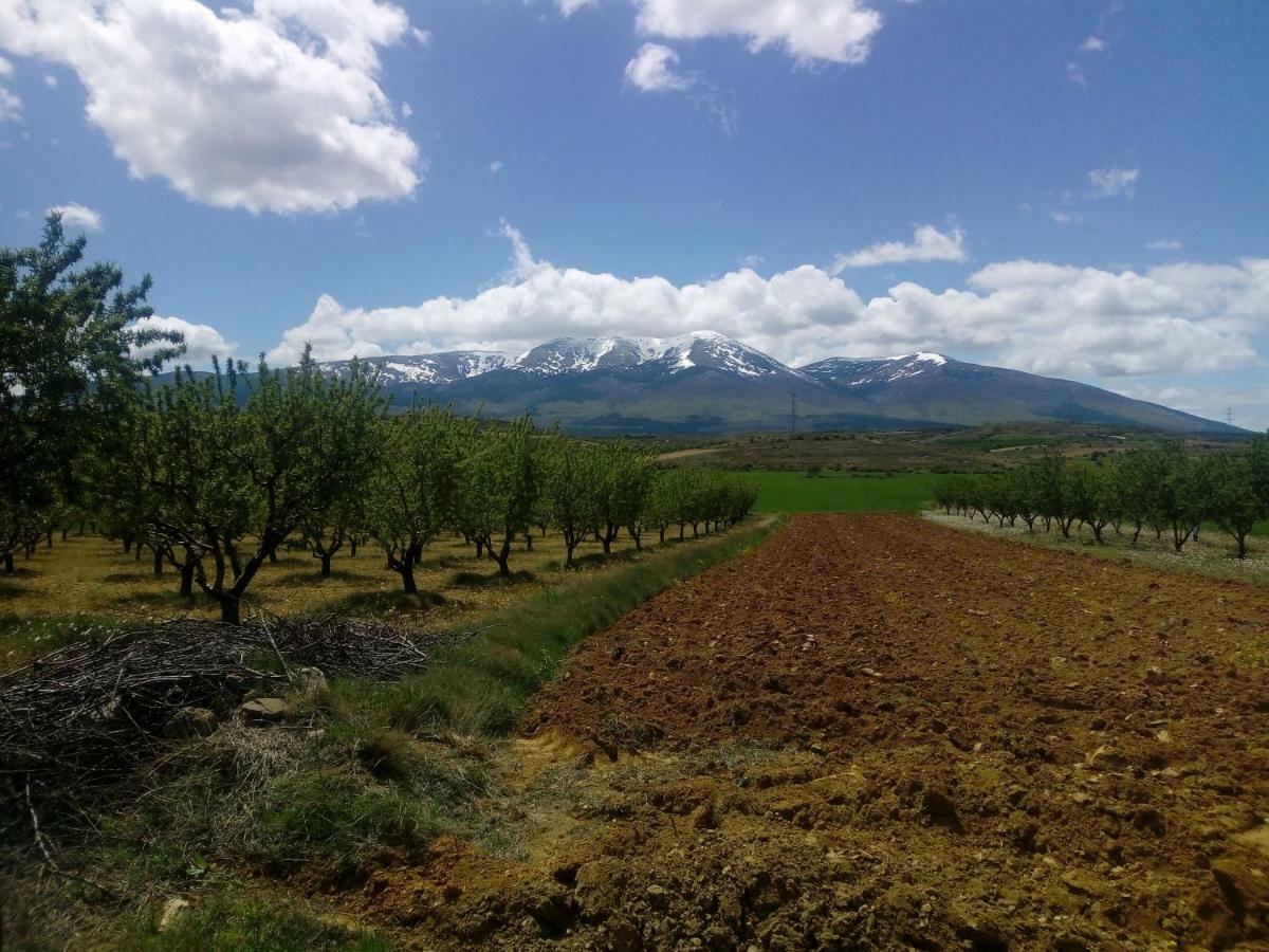 Casa Tuerta Villa Alcalá de Moncayo Eksteriør bilde